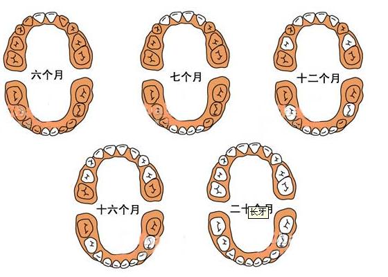 �����ׂ����L��������ʲô�r���L���������ȳ��r�g�c���