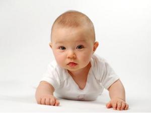 寶寶幾個月會爬行?家長如何訓練寶寶學爬行