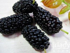 �����ܳ�ɣ�؆᣿������ɣ����ʲô��̎