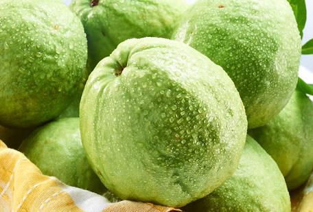 �����ܳԷ�ʯ����������Է�ʯ�������