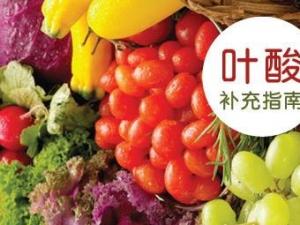 寶寶如何補充葉酸?含葉酸的食物