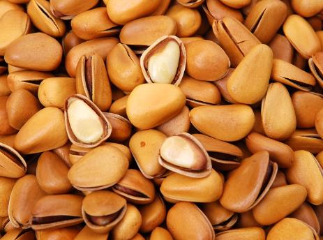 寶寶能吃松子嗎?寶寶吃松子的做法