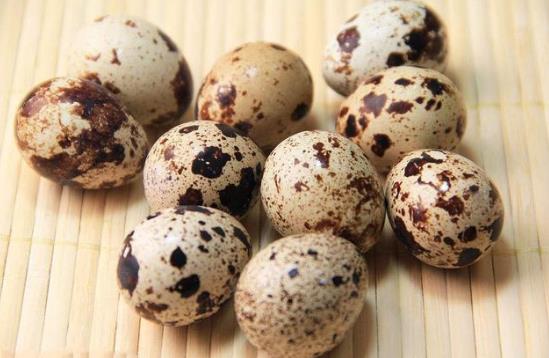 寶寶吃鵪鶉蛋好還是雞蛋好?寶寶天天吃鵪鶉蛋好嗎?