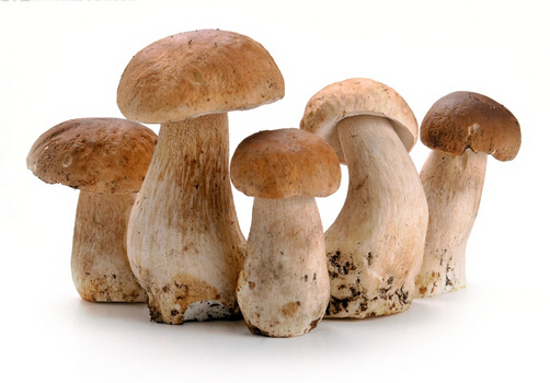 孕婦可以吃草菇嗎?適合孕婦吃草菇的做法