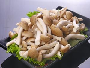 產婦可以吃蟹味菇嗎?產婦吃蟹味菇的禁忌