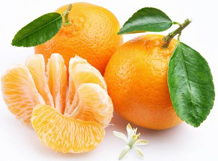 �ЋD�����ӺÆ����ЋD�������ϻ���