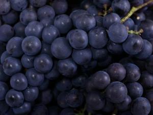 孕婦吃葡萄好嗎?孕婦可以吃葡萄嗎