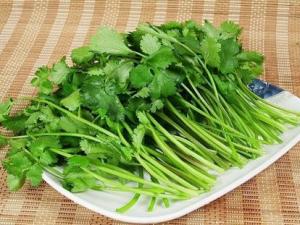 孕婦能不能吃香菜?孕婦可以吃香菜嗎