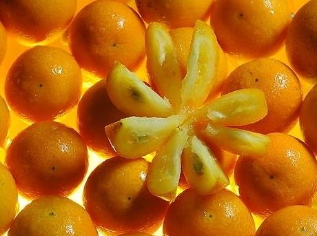 �ЋD�ܳԽ�ۆ᣿�ЋD�Խ�۵�����