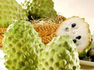 孕婦能吃釋迦果嗎?孕婦吃釋加果有什么好處