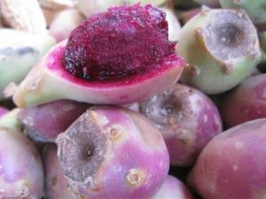 ?孕婦能吃仙人掌果嗎?孕婦吃仙人掌果好嗎