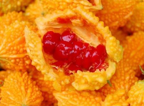 �ЋD�ܳ�ه���ц᣿�ЋD��ه������ʲô��̎