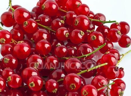 �ЋD�ܳԴ����᣿�ЋD�Դ�����ʲô��̎