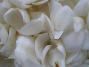 孕婦能吃百合嗎?孕婦吃百合有什么好處