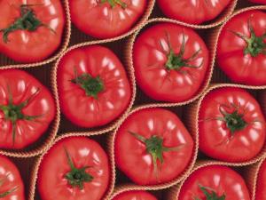 孕婦能吃西紅柿嗎?孕婦吃西紅柿有什么好處