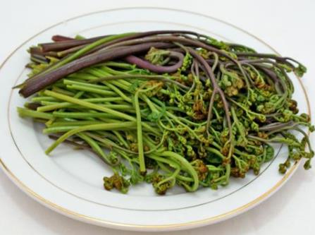 �ЋD��ާ����ʲô��̎���ЋD��ާ�˵�����