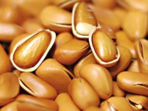 孕婦能吃松子嗎?孕婦吃松子的做法