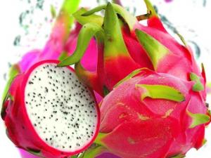 孕婦可以吃火龍果嗎？吃火龍果上火嗎