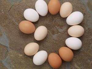 半熟的雞蛋最好不要吃-溏心蛋可以吃嗎?