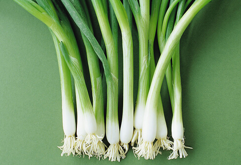 蔥并非百搭-什么情況不能吃蔥?