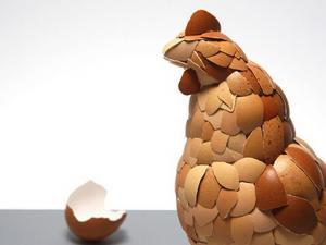 雞蛋養分價值都差未幾-怎么選購新鮮雞蛋？