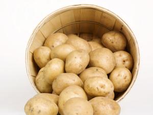 土豆到底是減肥食品還是致胖食品?