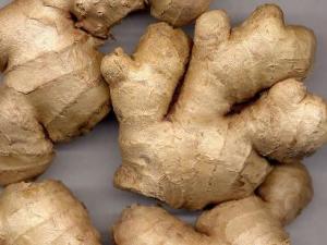 冬吃蘿卜夏吃姜？什么類型的人不宜吃姜
