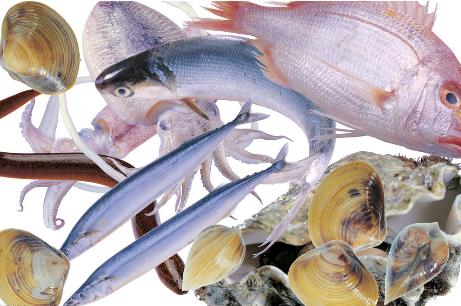 �����n����ܳ�ʲô���n������ʳ����