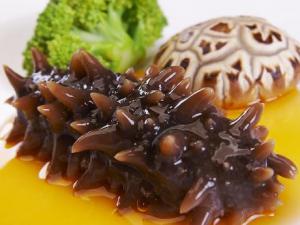 海參不能和什么一起吃?海參的5大食用禁忌