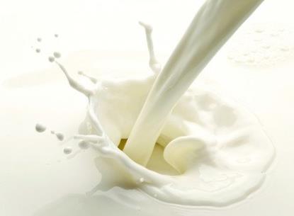 ţ��ʲô�r��������ʲô�˲��ܺ�ţ��