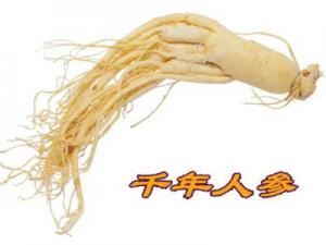 什么人不能吃人參?人參果怎么吃最好