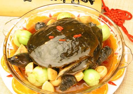 甲魚不能和什么一起吃?吃甲魚有哪些飲食禁忌