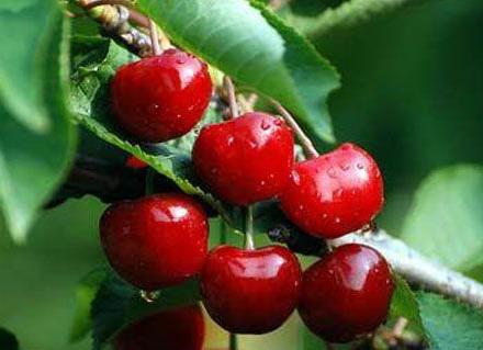 �ԙ����ϻ��᣿�ԙ��ҵ�ע�����