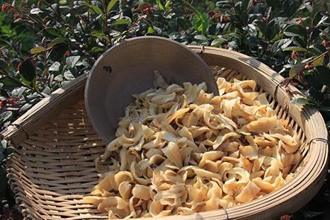 ������x�ٺ����԰ٺϵ�ʳ�ý���