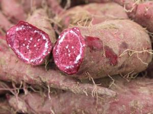 如何挑選紫薯?紫薯的食用禁忌