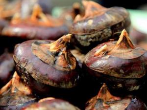 如何挑選荸薺?吃荸薺的食用禁忌