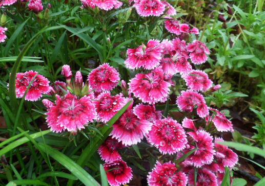 ʯ�񌦼Ҿӭh(hu��n)����Ӱ�-ʯ����L(f��ng)ˮ�W(xu��)��(y��ng)��