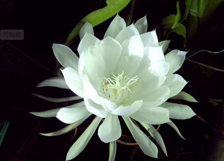 �һ����Ҿӭh����Ӱ�-�һ����Lˮ�W����