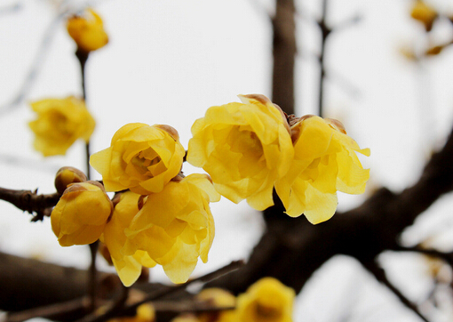 �D÷���Ҿӭh����Ӱ�-�D÷���Lˮ�W����