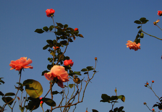 �¼������Ҿӭh(hu��n)����Ӱ�-�¼������Lˮ�W����