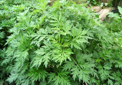 ���݌��Ҿӭh����Ӱ�-���ݵ��а����