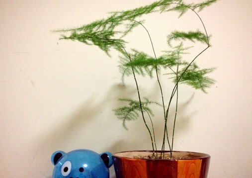 ���񌦼Ҿӭh(hu��n)��������-������L(f��ng)ˮ�W(xu��)��(y��ng)��