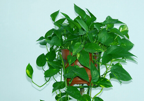 �S������Ҿӭh(hu��n)����Ӱ�-�S�����L(f��ng)ˮ�W(xu��)��(y��ng)��