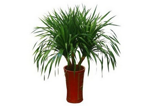 ��Ѫ�䌦�Ҿӭh����Ӱ�-��Ѫ�������