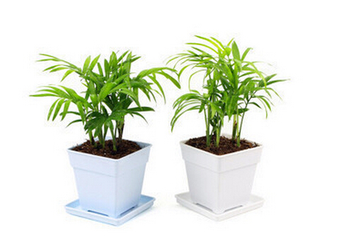 ����Ҭ�ӵ��Lˮ�W����-����Ҭ���c�Ҿ��L��Ĵ���