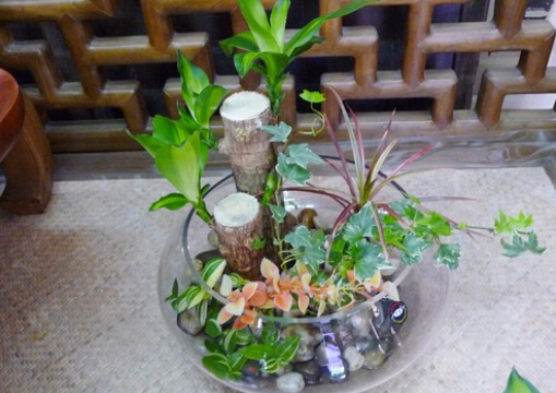 ����ľ���Lˮ�W����-����ľ�ڼҾ��е�����