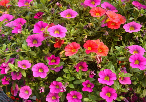 ������Lˮ�W����-����c�Ҿ��L��Ĵ���