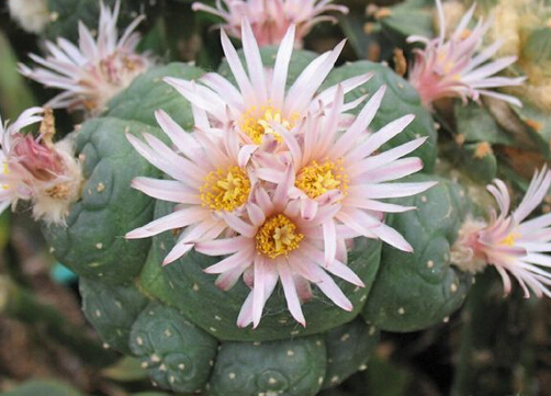 �������c�Ҿ��L��Ĵ���-��������Lˮ�W����