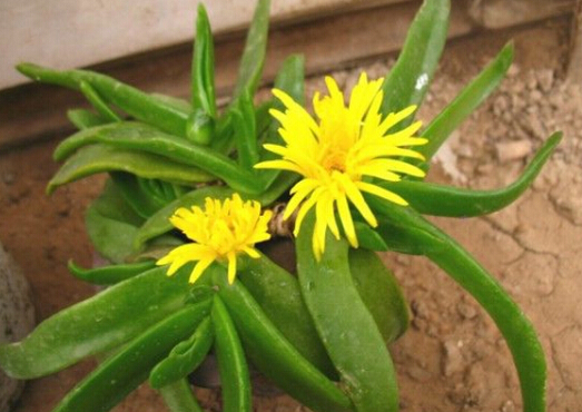 �����Ƶ��Lˮ�W����-�������ڼҾ��е�����