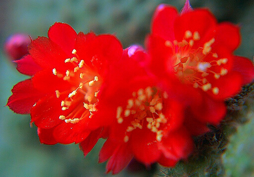 �ӌO����Lˮ�W����-�ӌO���ڼҾ��е�����